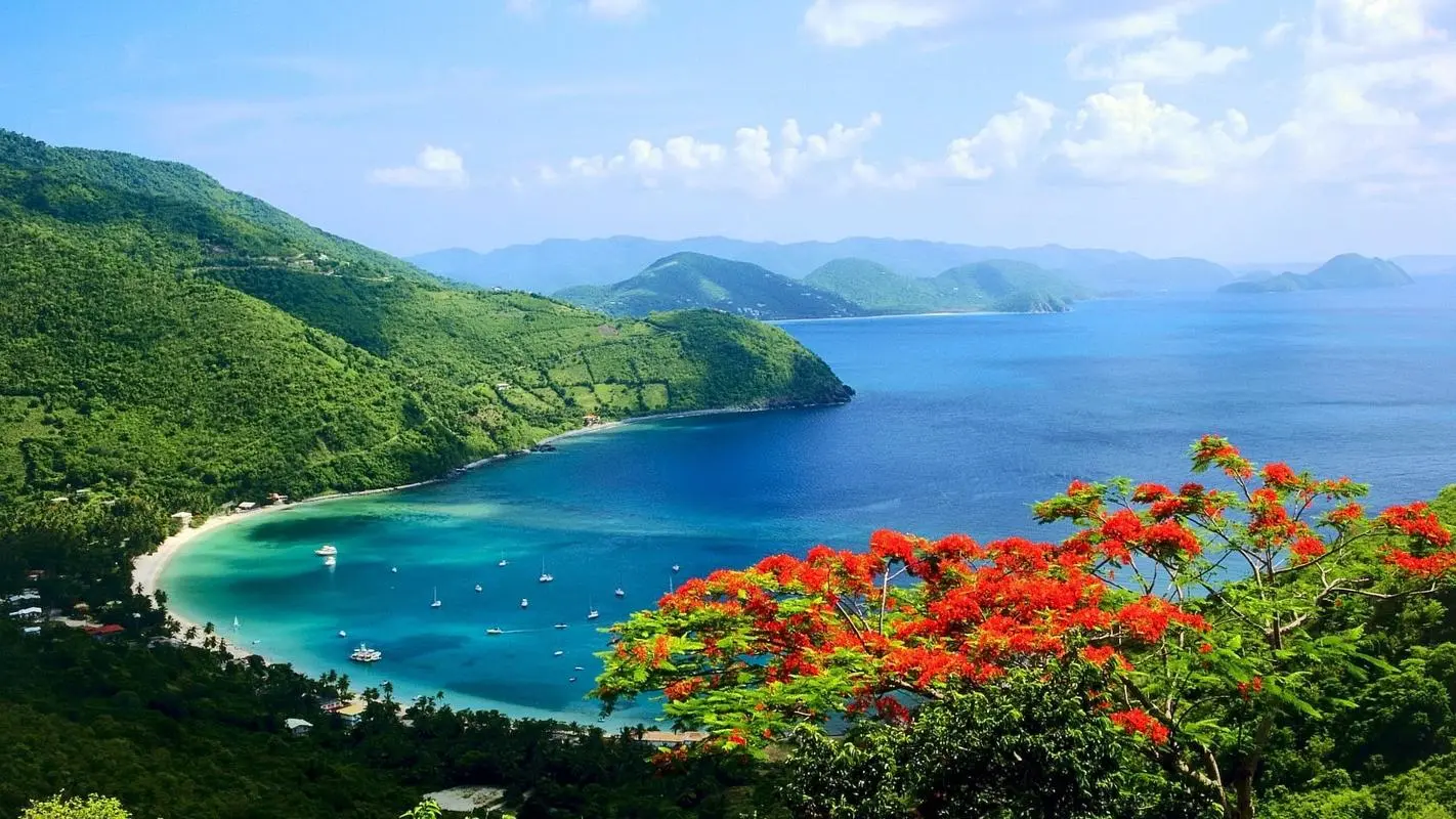绿色智能高标准